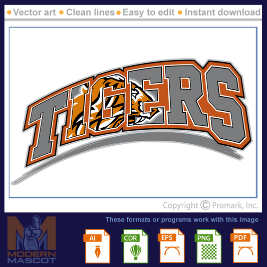 Tiger Lettering 2 - tiger_22_DC_02