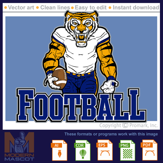 Tiger Football Design - tiger_22_DC_03