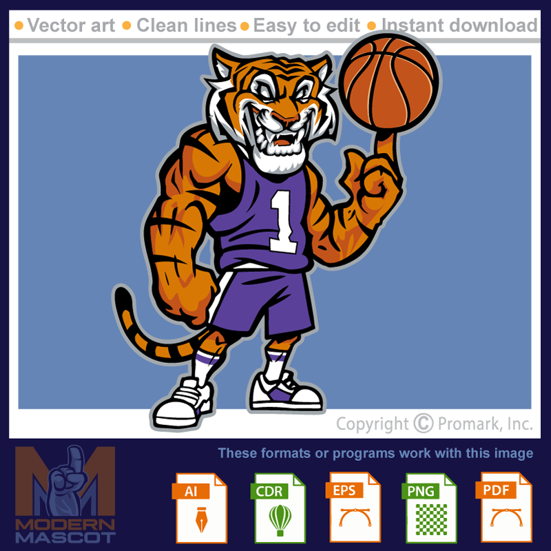 Tiger Basketball 5 - tiger_22_basketball_05