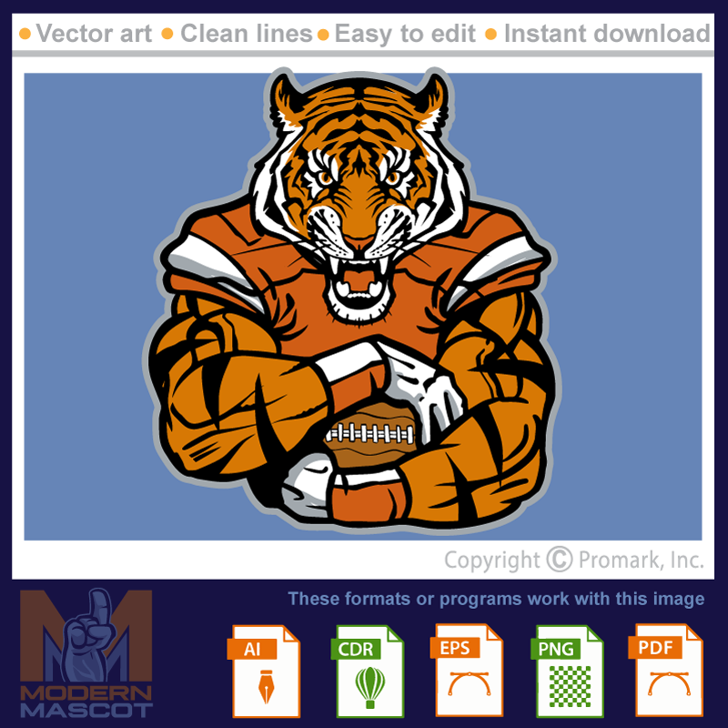 Tiger Football 1 - tiger_22_football_01