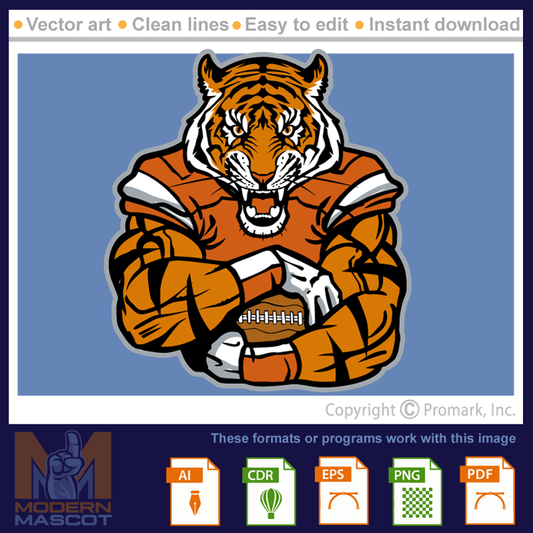 Tiger Football 1 - tiger_22_football_01