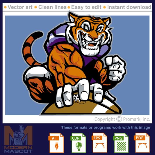 Tiger Football 5 - tiger_22_football_05