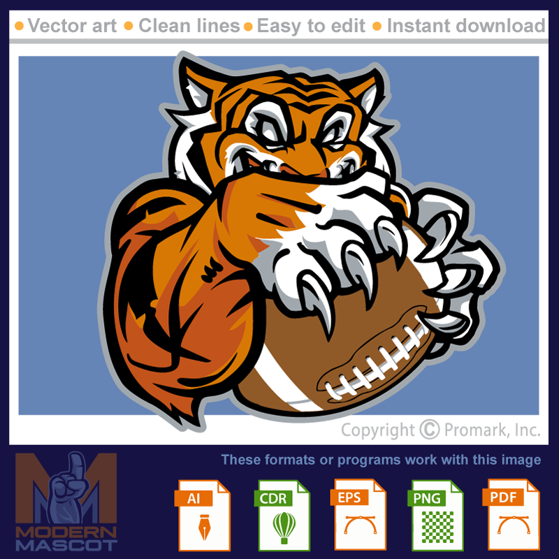 Tiger Football 6 - tiger_22_football_06