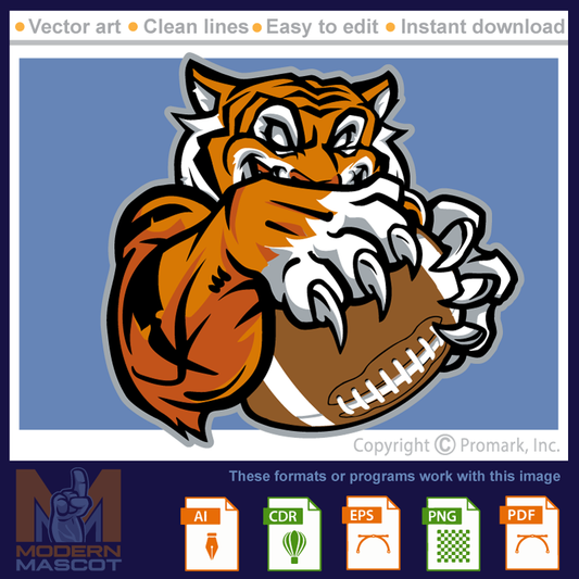 Tiger Football 6 - tiger_22_football_06