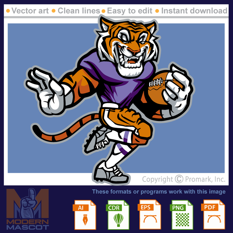 Tiger Football 7 - tiger_22_football_07