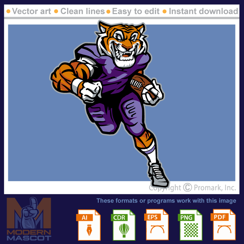 Tiger Football 8 - tiger_22_football_08