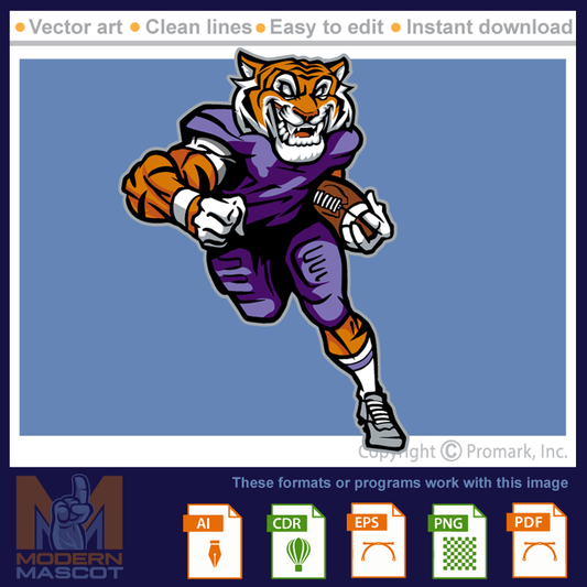 Tiger Football 8 - tiger_22_football_08