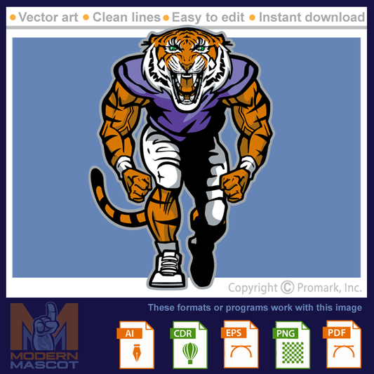 Tiger Football 9 - tiger_22_football_09