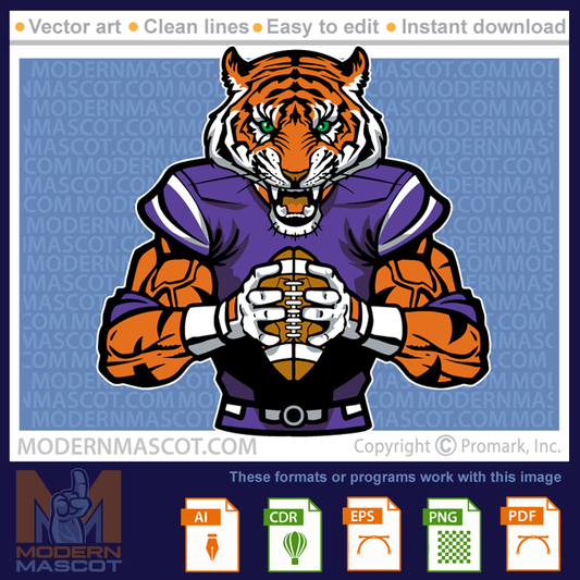 Tiger Football  - tiger_22_football_10