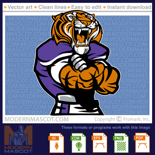 Tiger Football - tiger_23_football_15