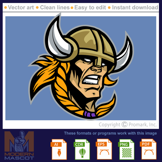 Viking Head 13 - viking_22_13