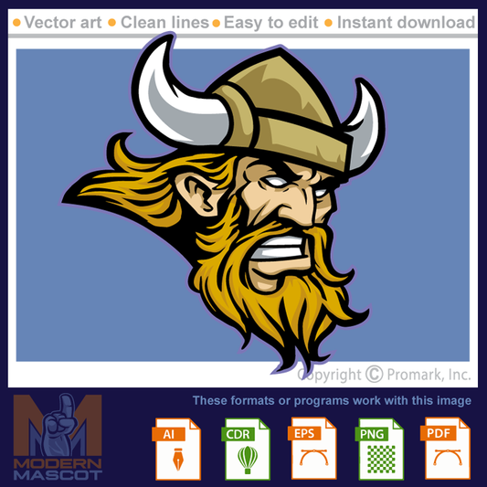 Viking Head 14 - viking_22_14