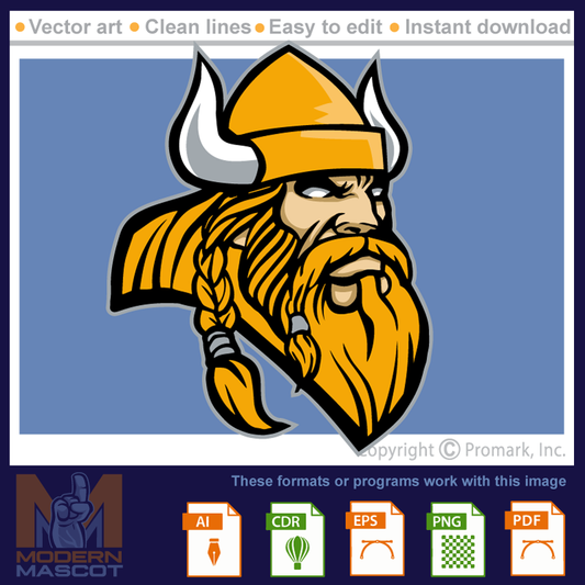 Viking Head 17 - viking_22_17