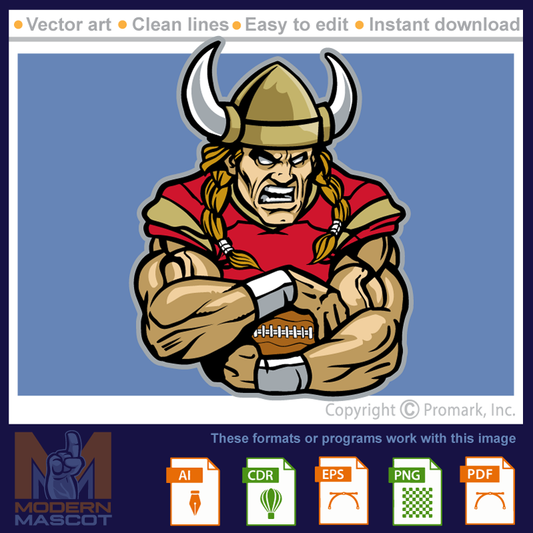Viking Football 6 - viking_22_football_06
