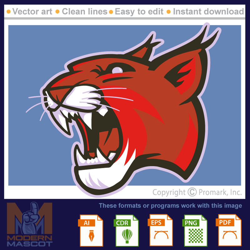 Wildcat Head 1 - wildcat_22_01