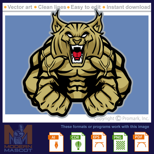 Wildcat Muscle 2 - wildcat_22_fitness_02