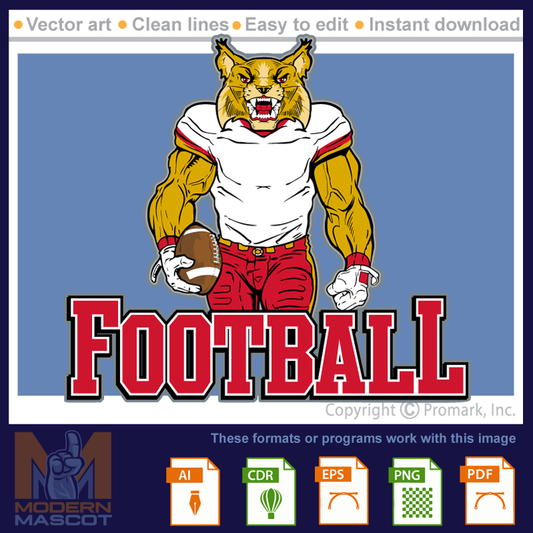 Wildcat Football 1 - wildcat_22_football_01