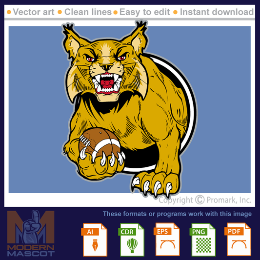Wildcat Football 2 - wildcat_22_football_02