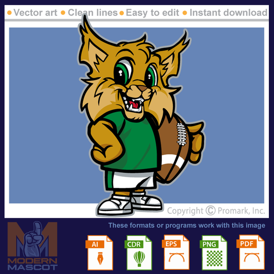 Wildcat Football 4 - wildcat_22_football_04