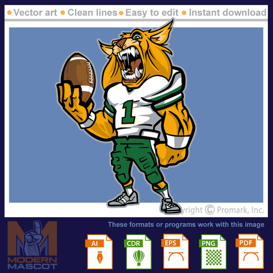 Wildcat Football _ wildcat_22_football_05