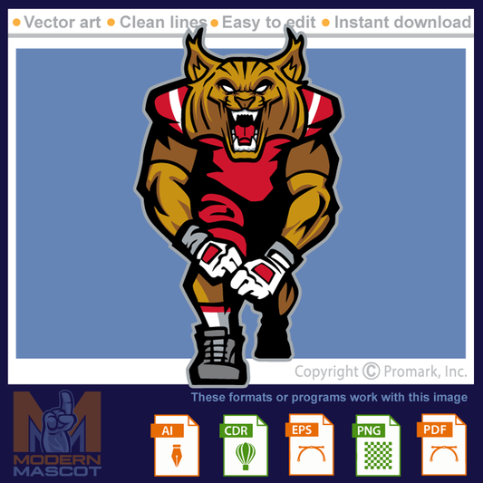 Wildcat Football 6 - wildcat_22_football_06