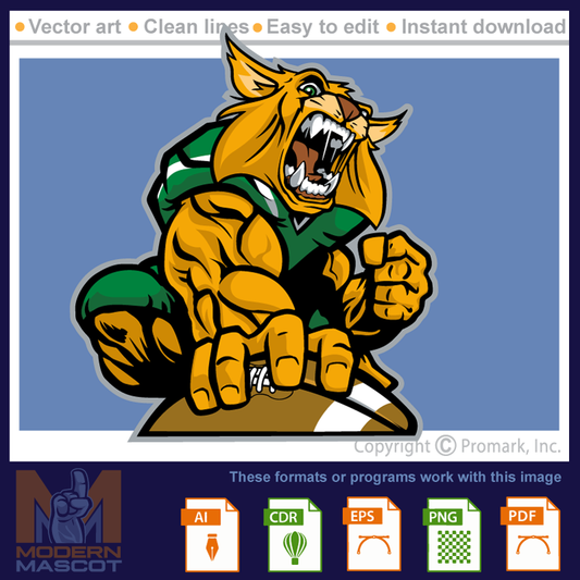 Wildcat Football 7 - wildcat_22_football_07