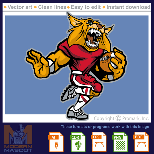 Wildcat Football 8 - wildcat_22_football_08