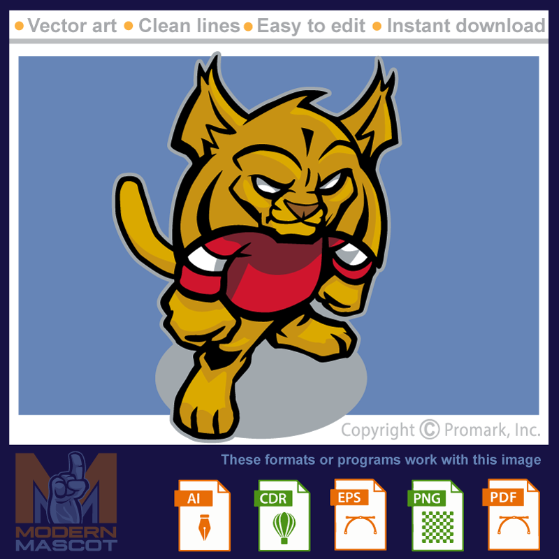 Wildcat Tough 2 - wildcat_22_spirit_02