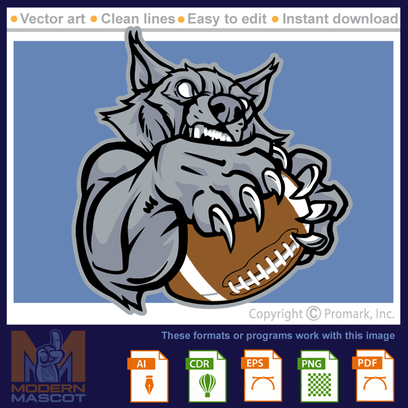 Wolf Football - wolf_22_football_10